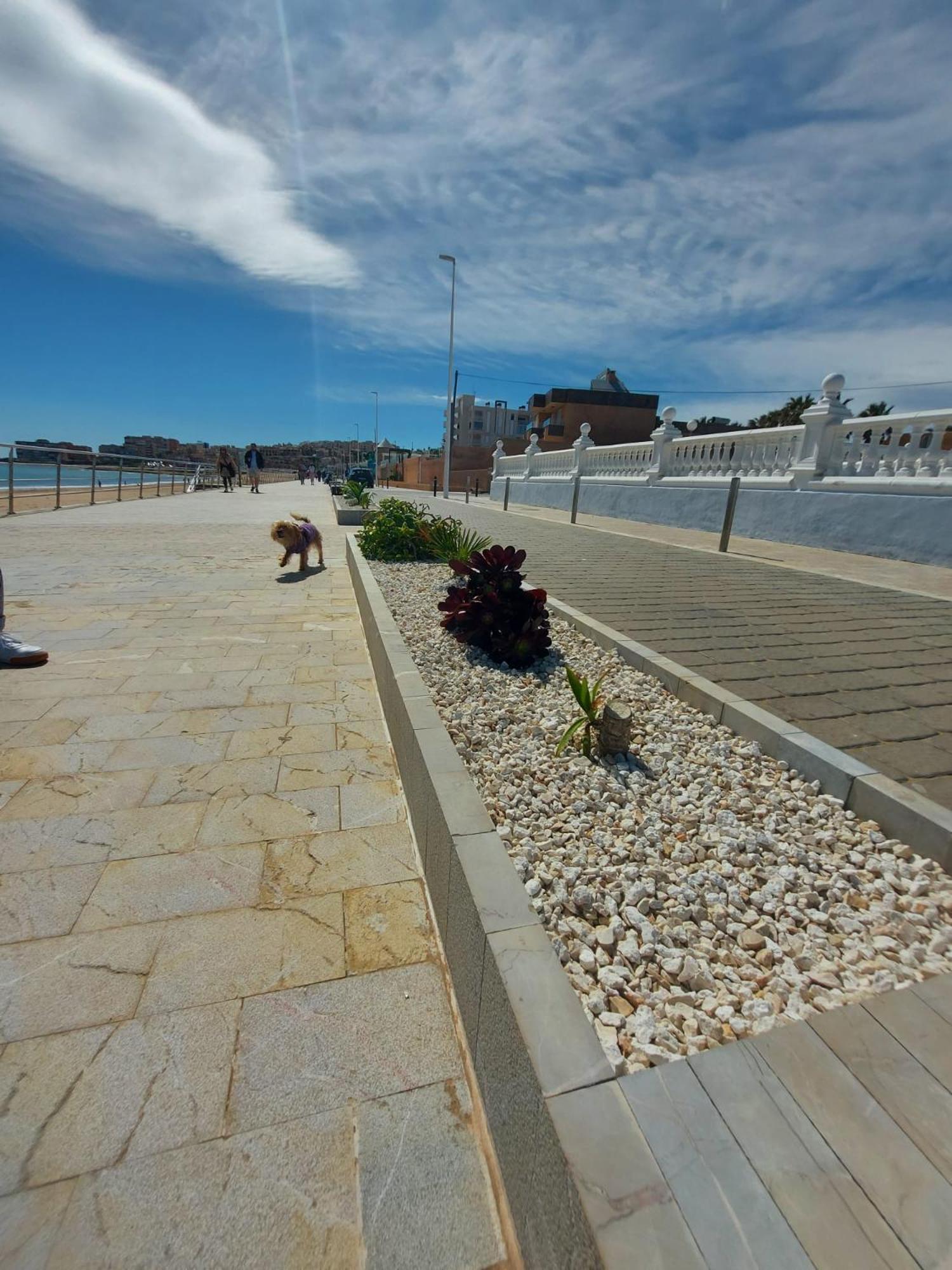 Maravillosa Terraza Con Vistas Al Mar, La Mata トレビエハ エクステリア 写真
