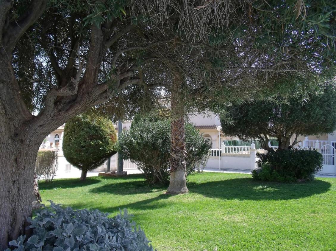 Maravillosa Terraza Con Vistas Al Mar, La Mata トレビエハ エクステリア 写真